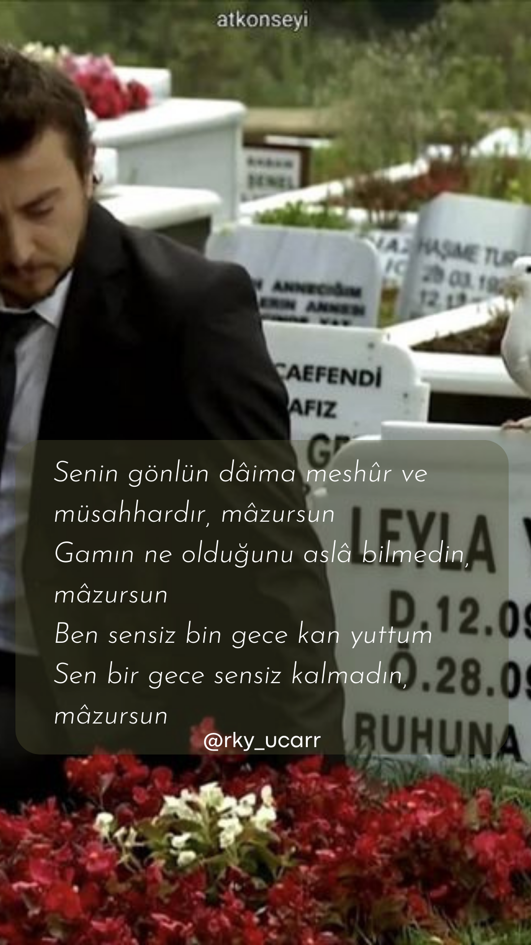 alıntı görseli